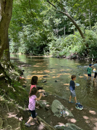 Smaller Hike Photos-10