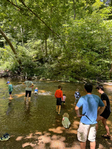 Smaller Hike Photos-11