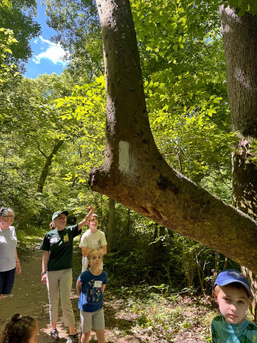 Smaller Hike Photos-9